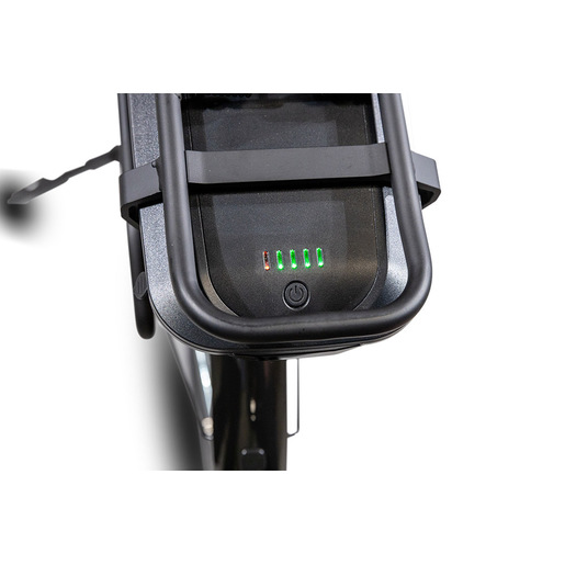 EMG Bici elettrica Vintage Marlon, con telaio 19'', ruota 28'', motore Ananda centrale 250W, Batteria 13Ah, Cambio Shimano