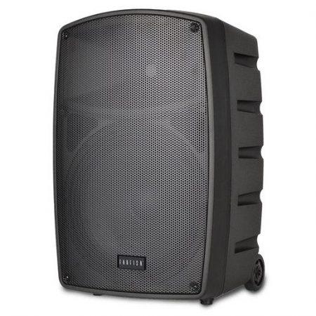 Bontempi FA 120 altoparlante portatile trolley con due microfoni nero