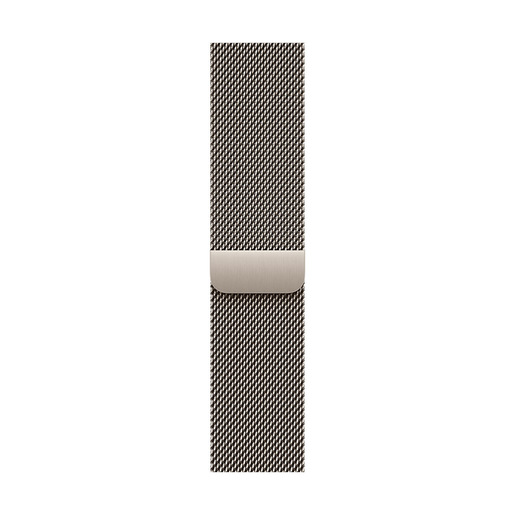 Apple Loop in maglia milanese in titanio naturale (49 mm) - Large