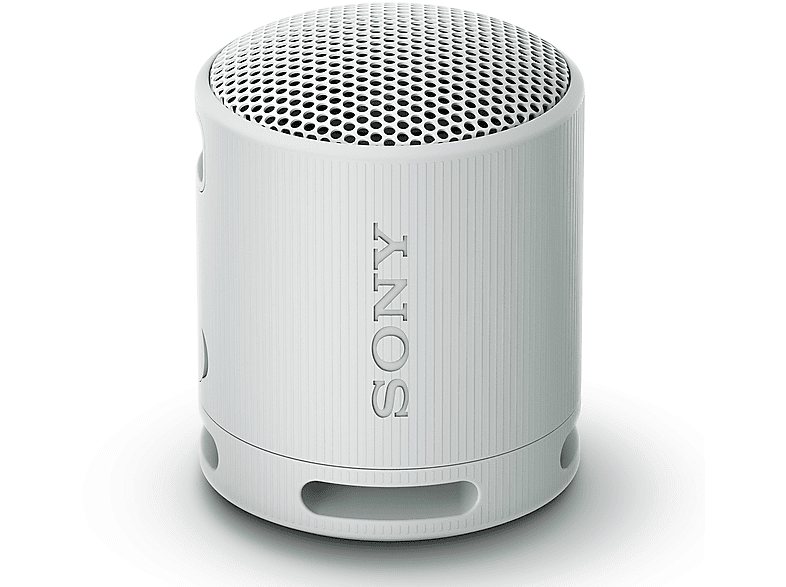 CASSA BLUETOOTH SONY SRSXB100H