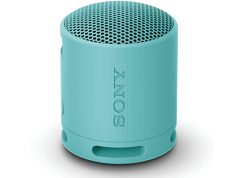 CASSA BLUETOOTH SONY SRSXB100L