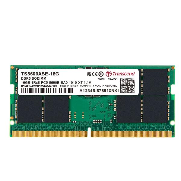 16GB TS DDR5 5600 SO-DIMM 1RX8 CL46
