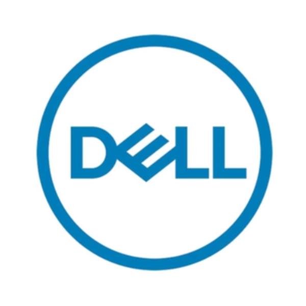 DELL S4620 480 GB 2.5" Serial ATA III