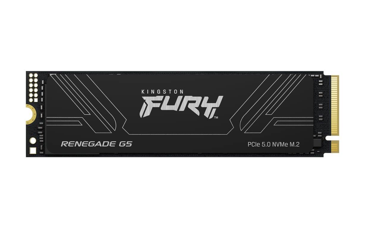 Kingston Technology 1T FURY RENEGADE G5 M.2 2280 NVMe SSD - Nuevo