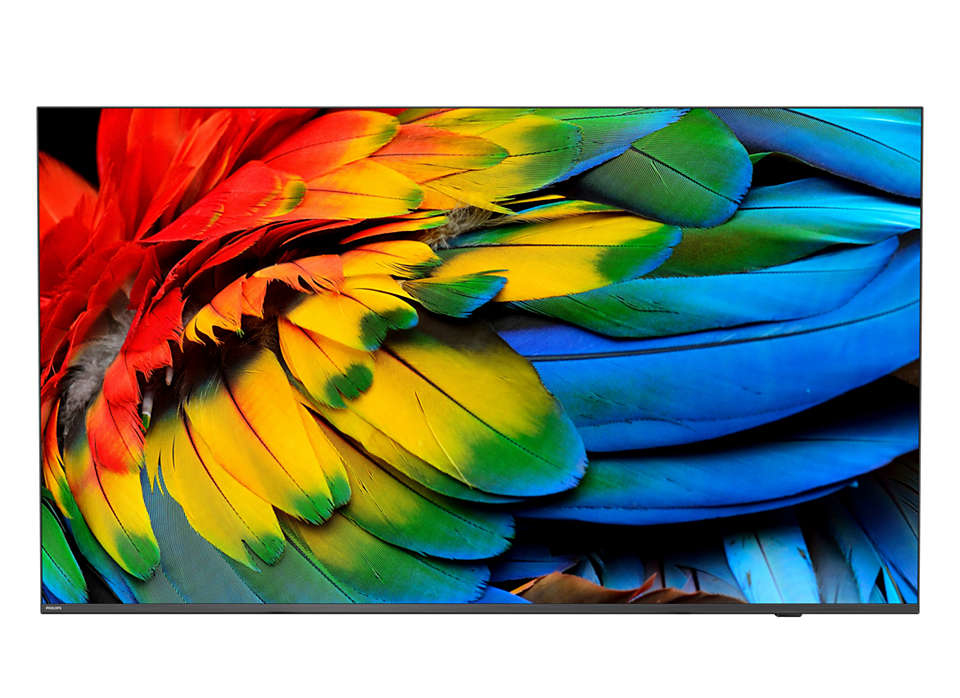 Philips 75HFL6214U 190,5 cm (75 ) 4K Ultra HD Smart TV Wifi Antracite 400 cd/m² - Nuevo