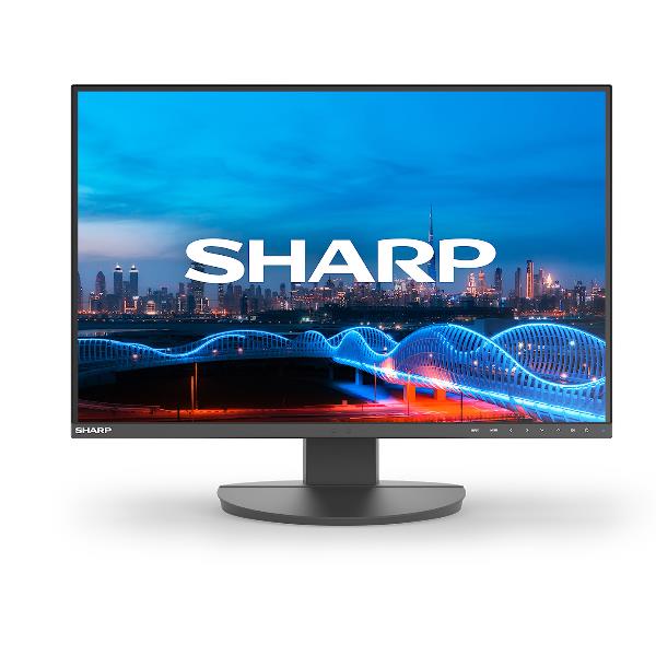 Sharp Multisync DD-EA241W DDEA241W